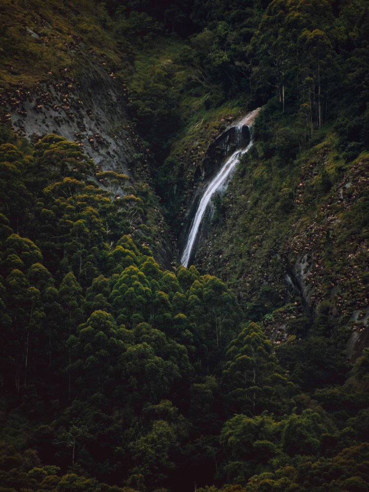 Photograph by Borges de Carvalho Allan