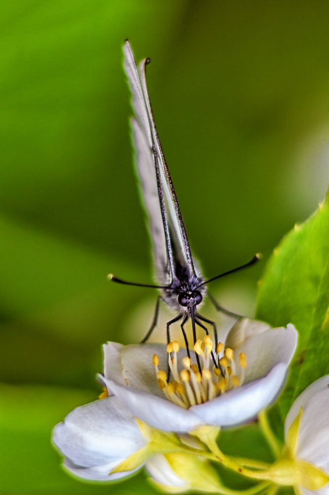 Photograph by Victor Pruhnitskiiy