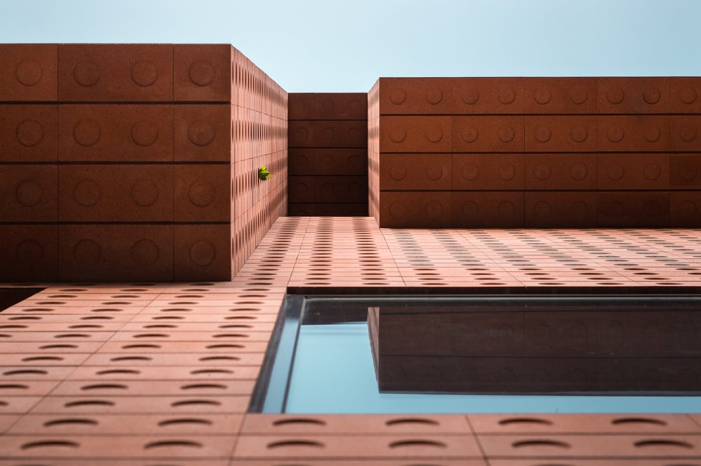 Photograph by Aidin Shahi