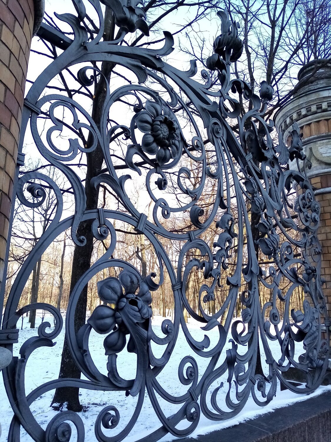 Photo #4451293