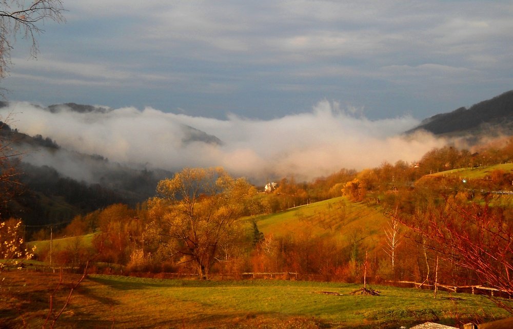 Photograph by Luminița Elena Cummings