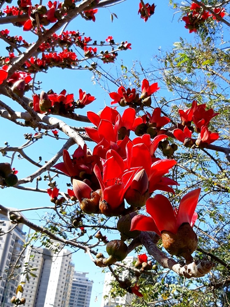 Так начиналась весна...