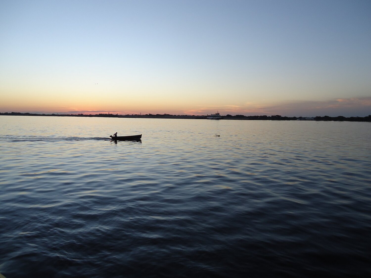 Photo #4451409