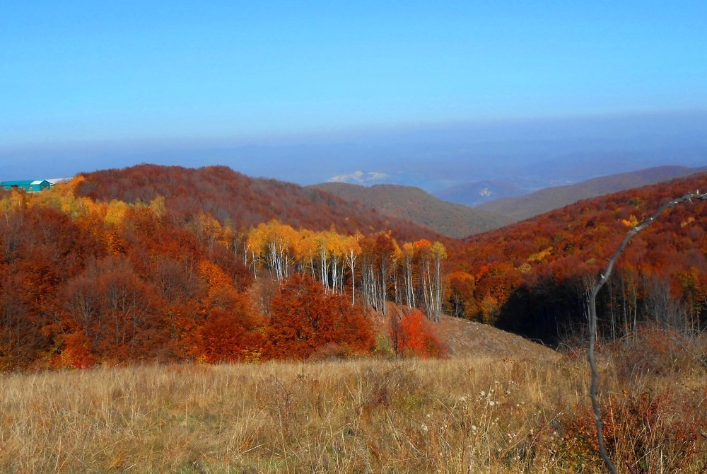 Photograph by Luminița Elena Cummings