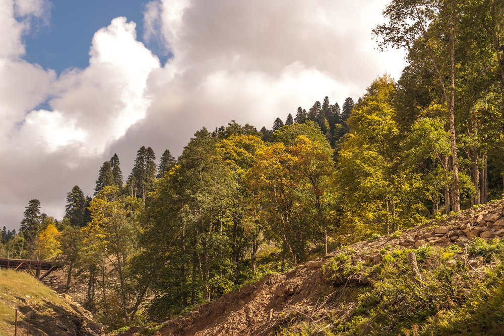 Photograph by Александра Такташева