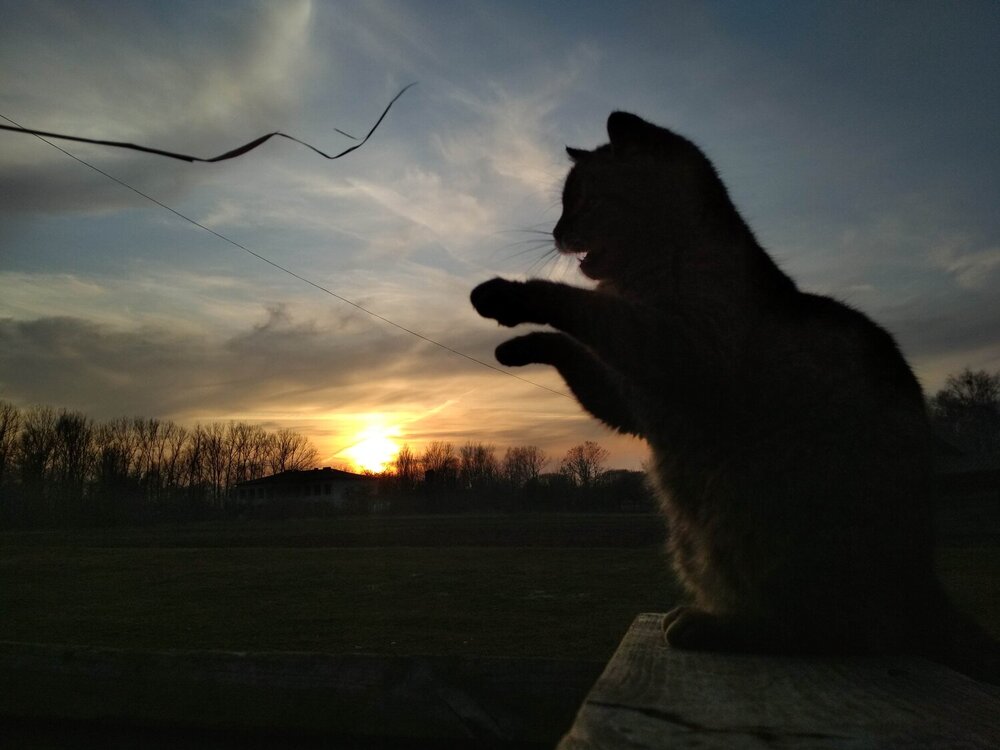 Photograph by Ростислав Скидченко