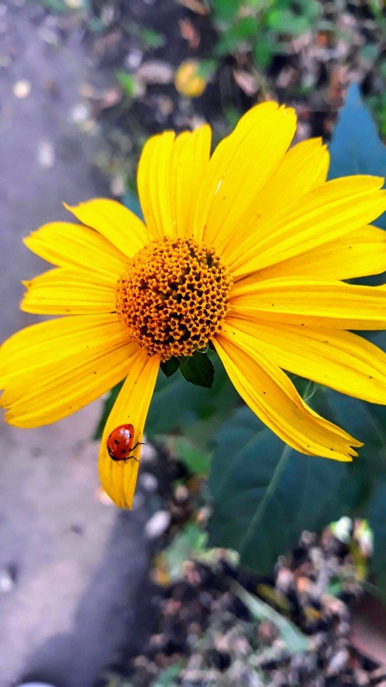 Photograph by Инга Халиуллина