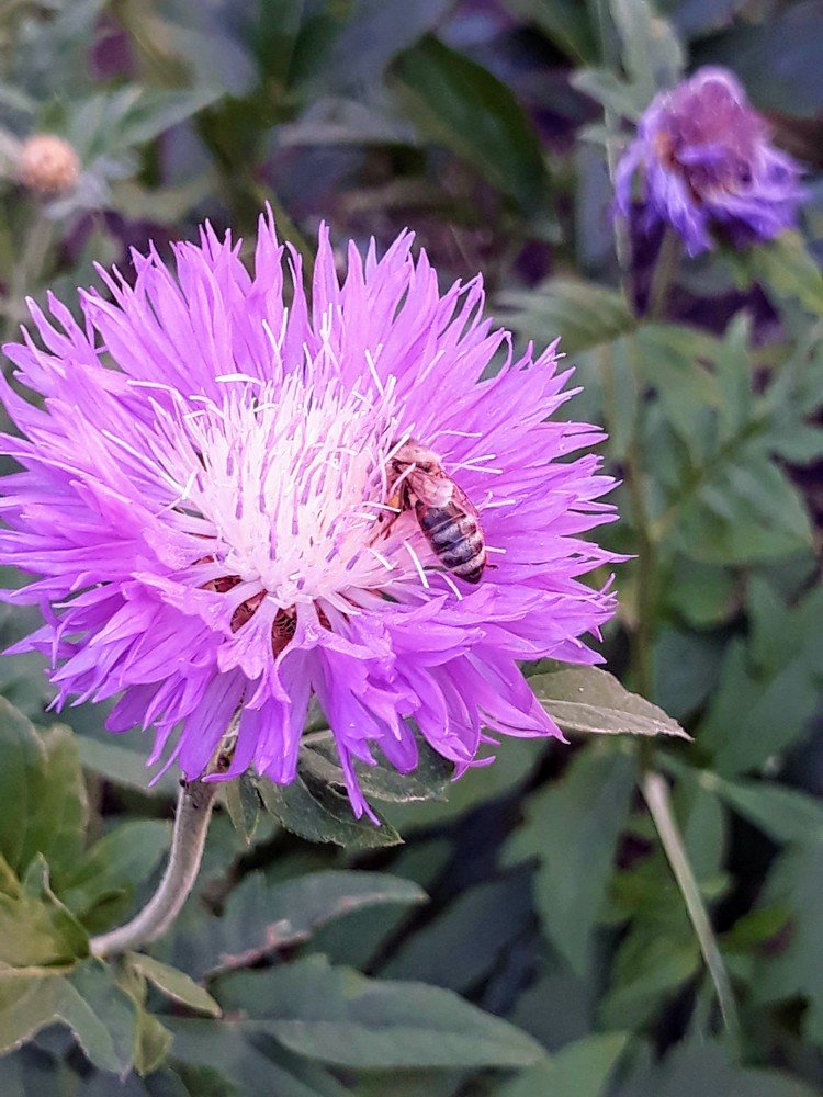 Photograph by Инга Халиуллина