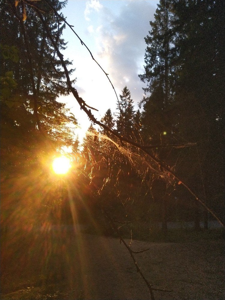 Photograph by Павел Лосев