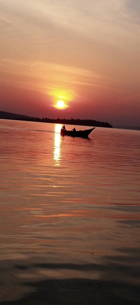 Powerz wooden canoe.