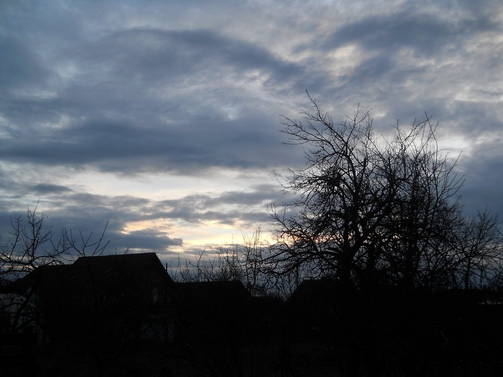 Photograph by Luminița Elena Cummings