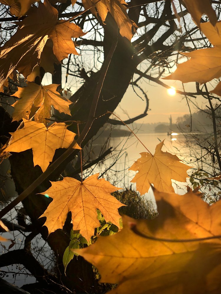 Photograph by Анатолий Андреев