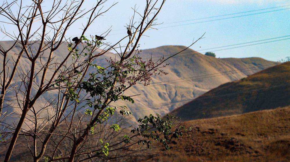 Photograph by nileydi colmenarez