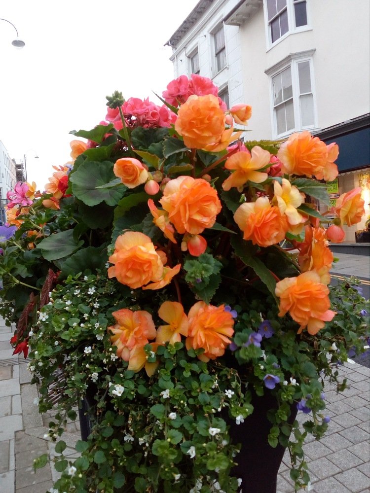 Фотография автора Stoyan Blagoev