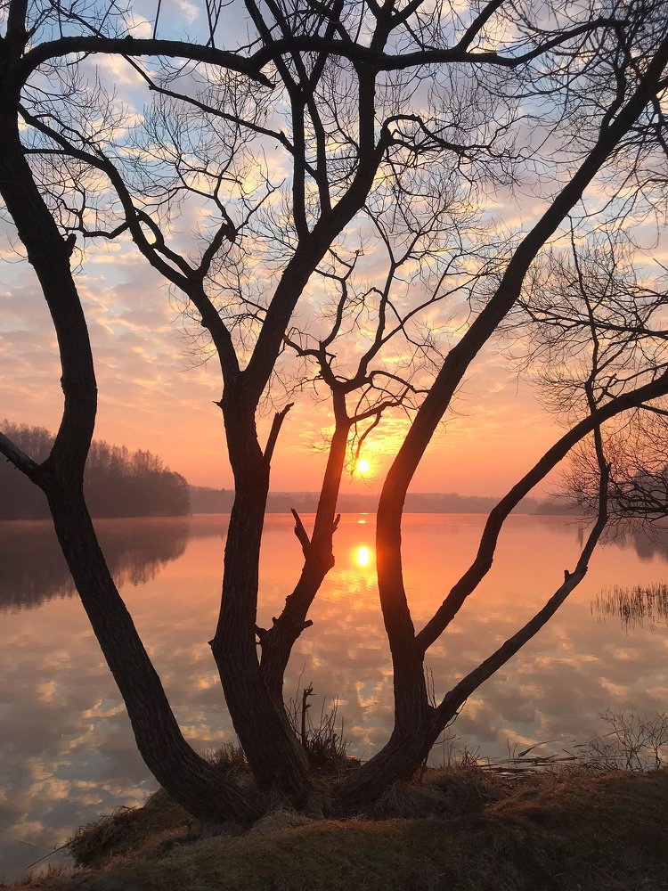 Photograph by Анатолий Андреев