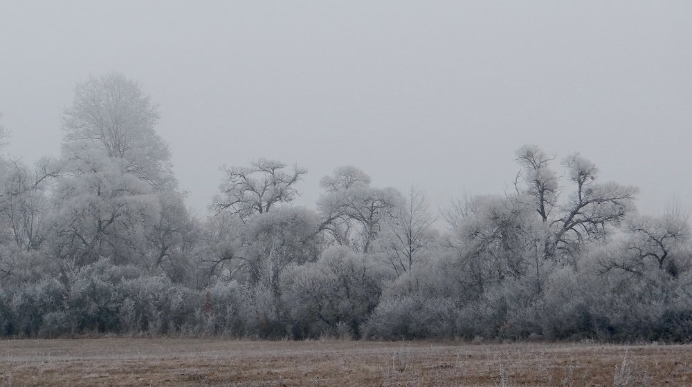 Photograph by Александр Рыбак