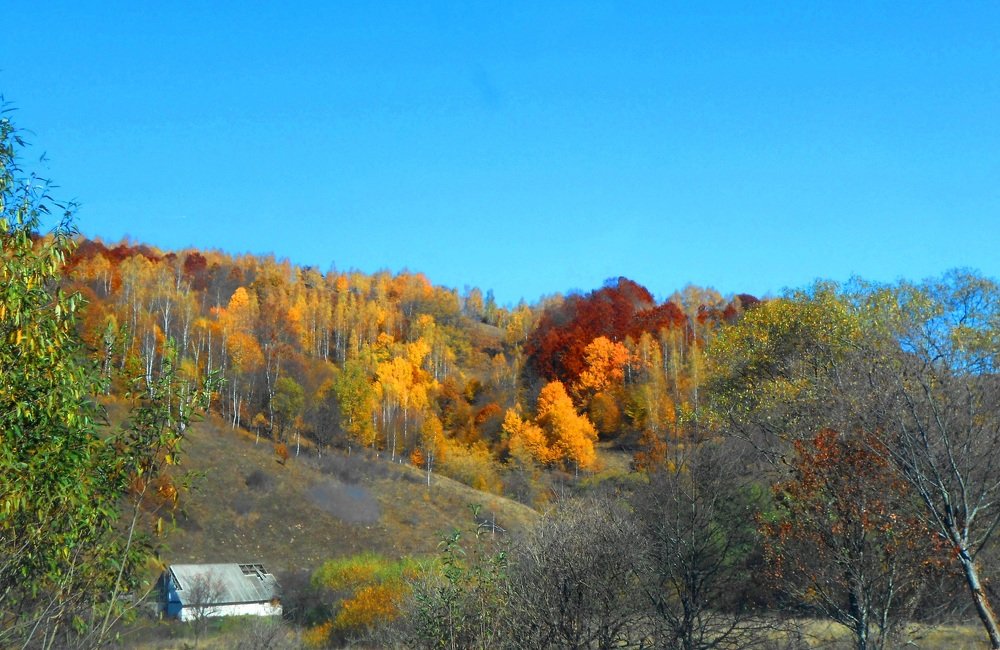 Photograph by Luminița Elena Cummings
