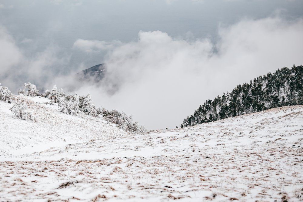 Photograph by Константин Аношин