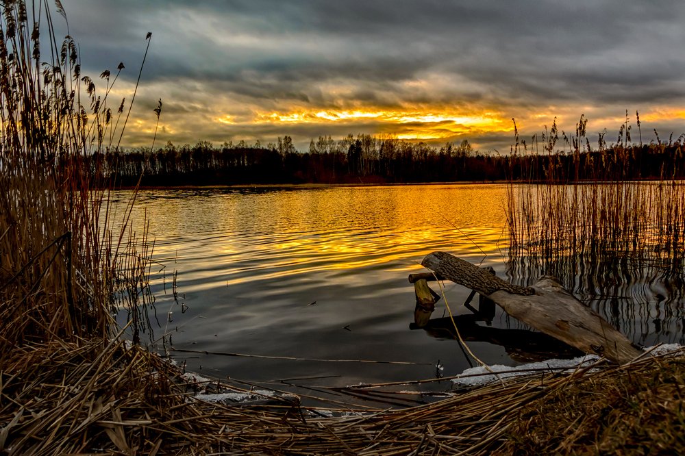 Photograph by Vitalijs