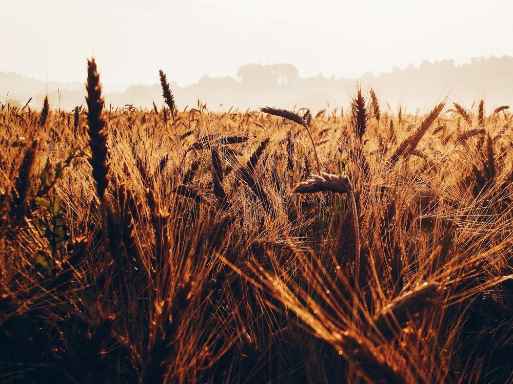 Photograph by Василь Ковбаса