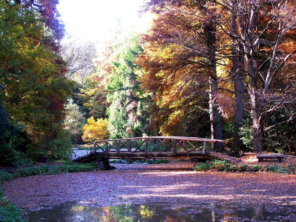 Photograph by Luminița Elena Cummings