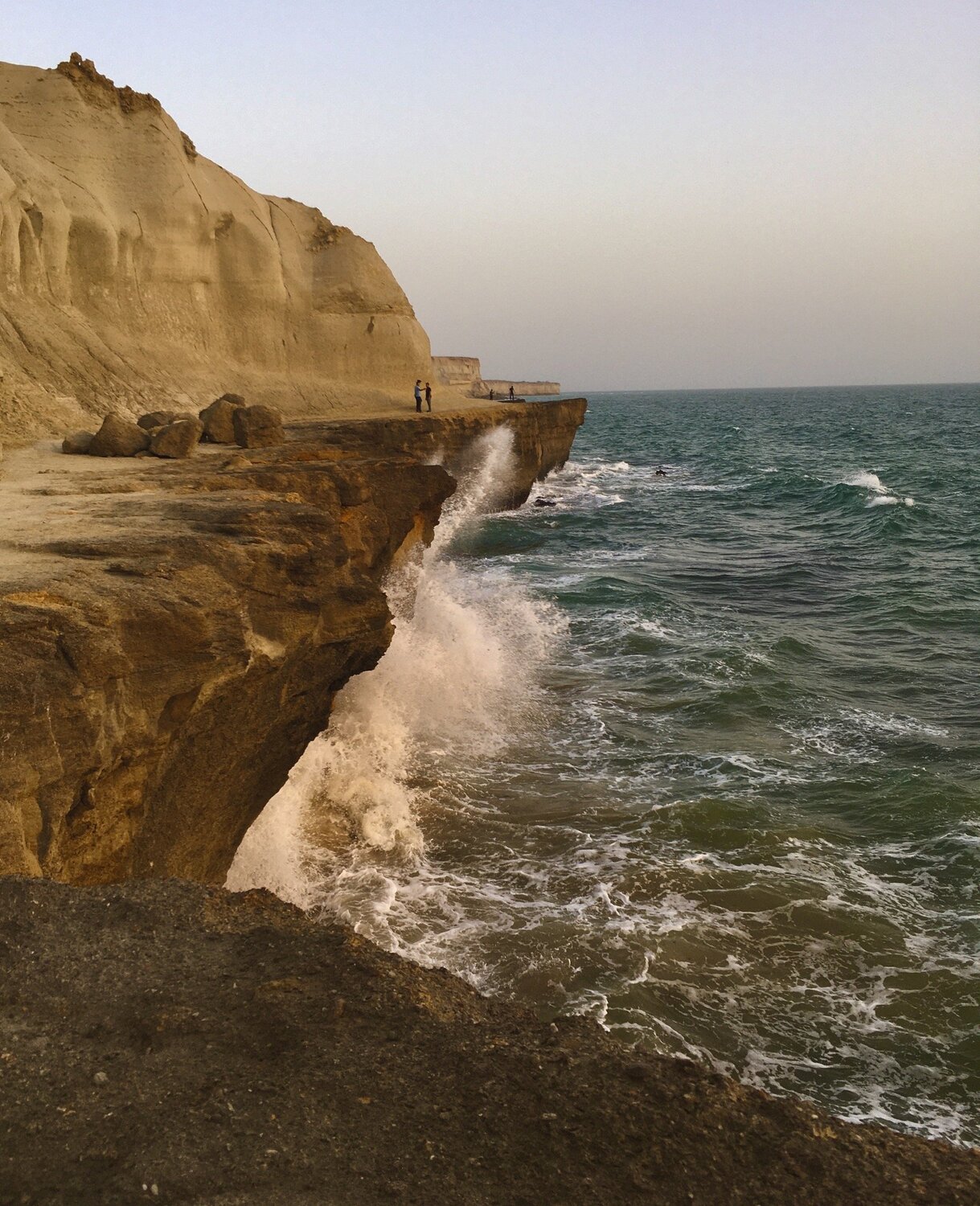 Photo #4452110