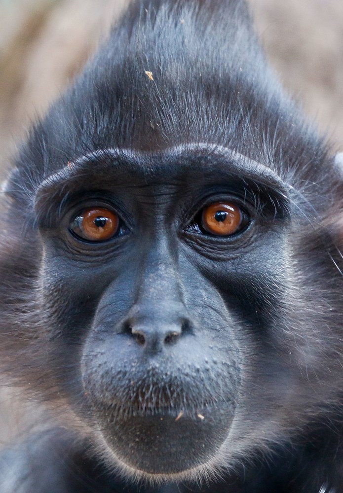 Photograph by Светлана Катанцева