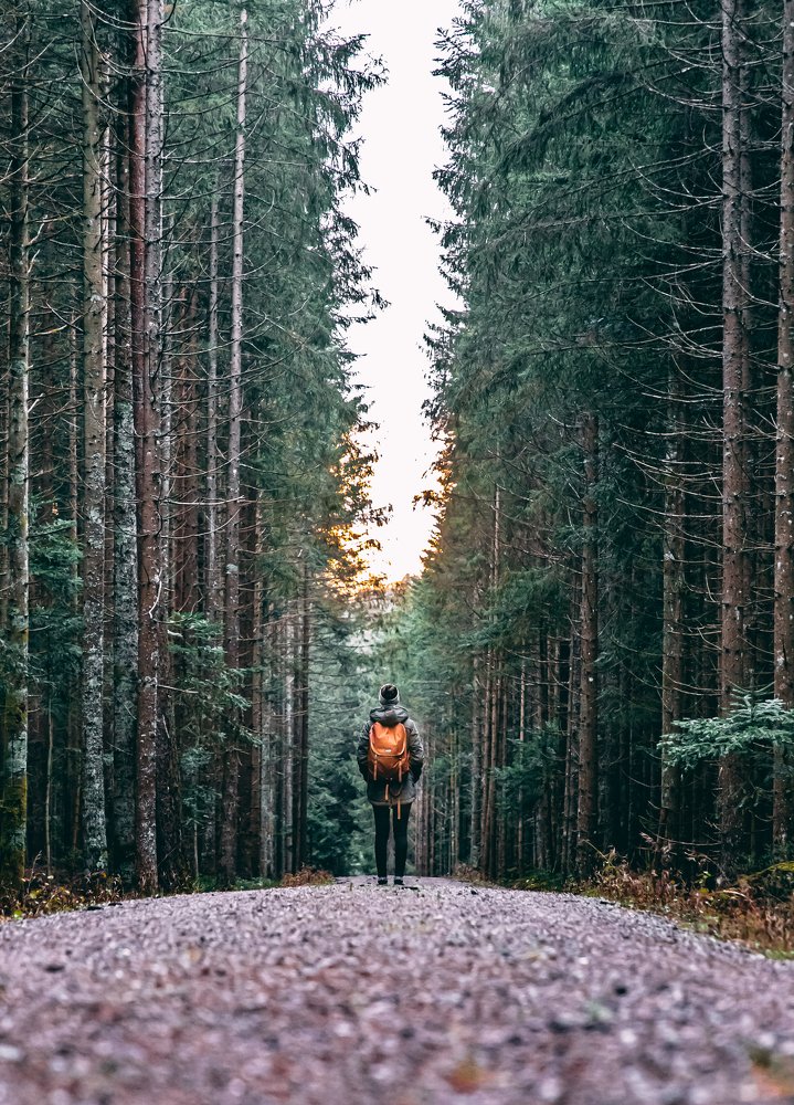 Photograph by Marko Beljan