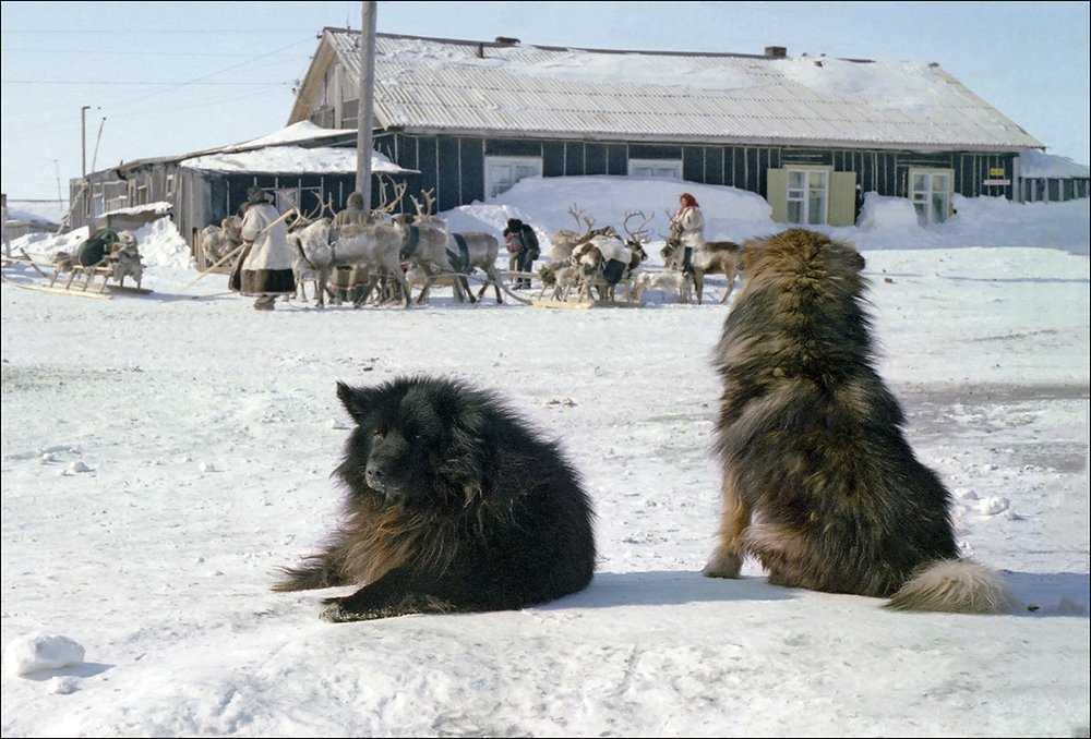 Photograph by Георгий Волков