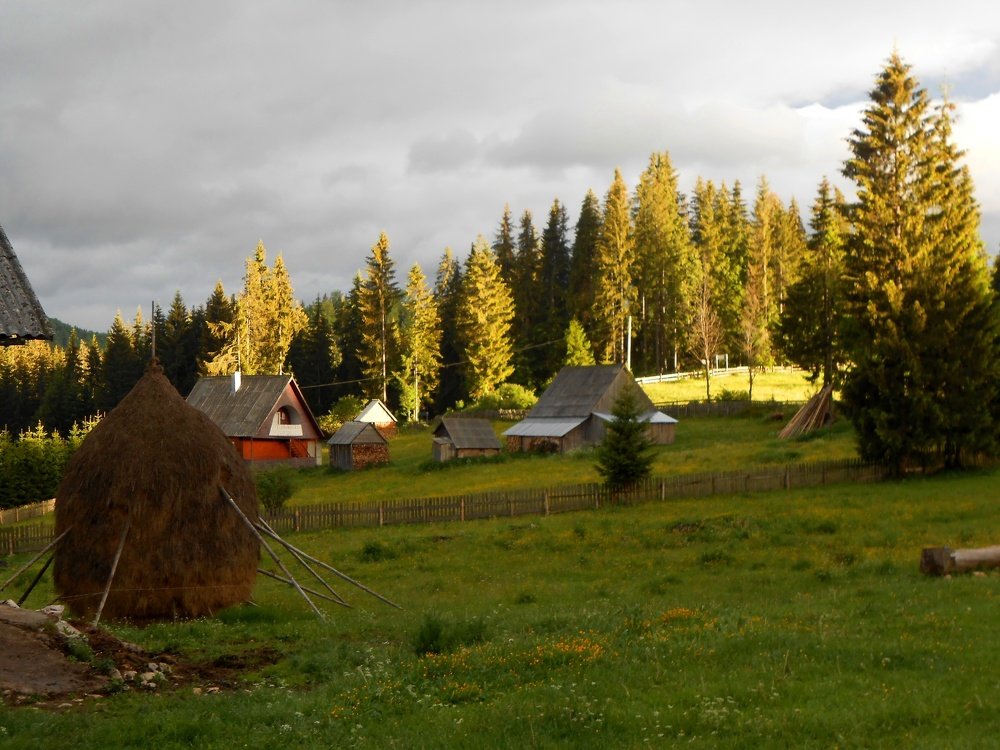 Photograph by Luminița Elena Cummings