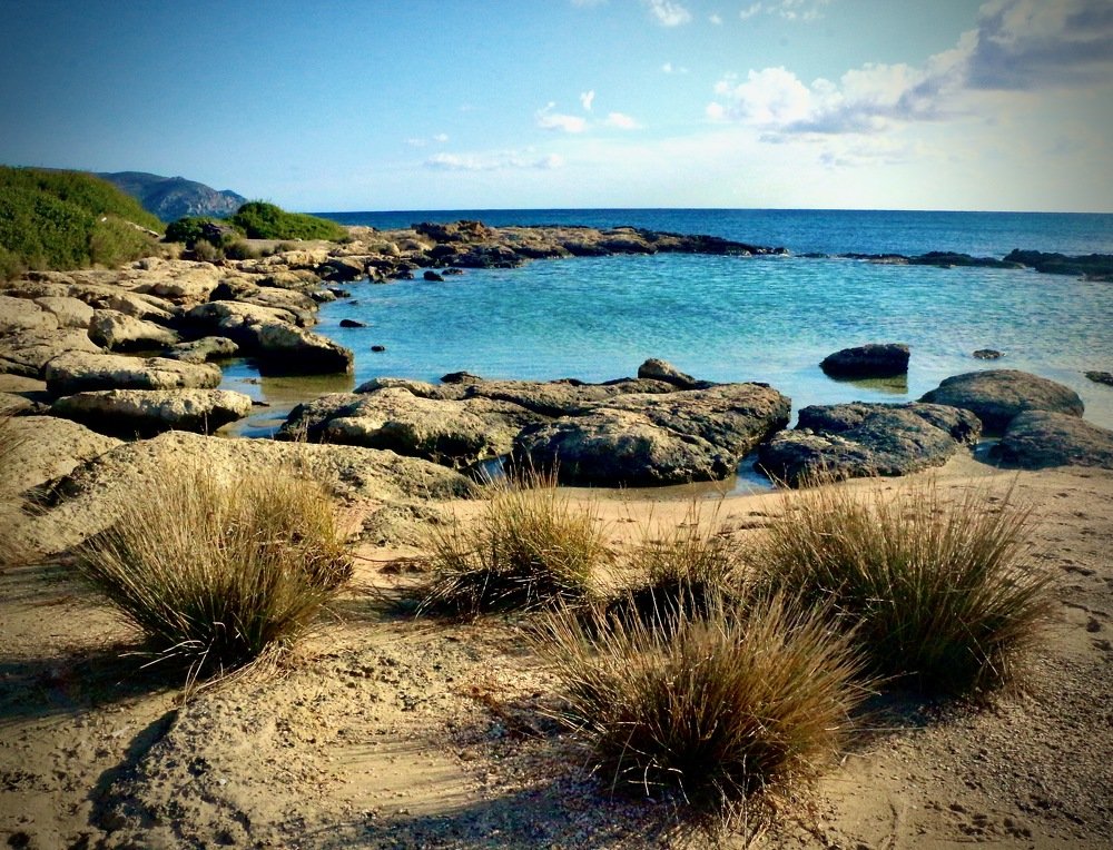 Photograph by Ahmet Aka