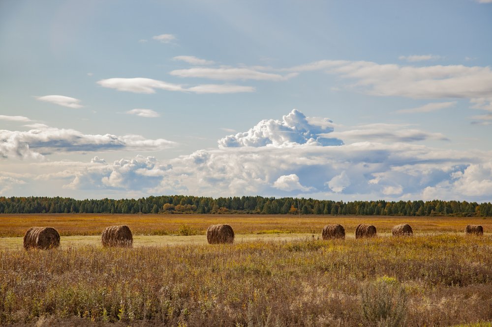 Русская ЗЕМЛЯ