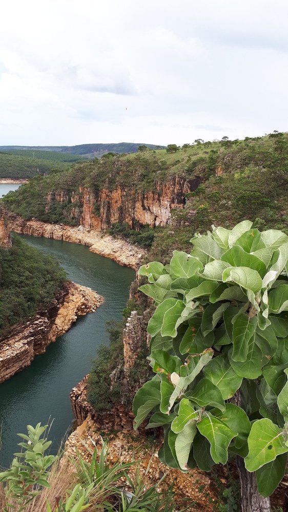 Mar de Minas