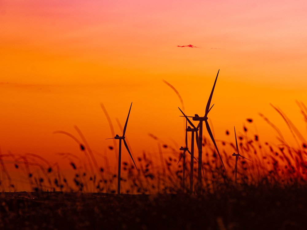 Windmills at Necochea
