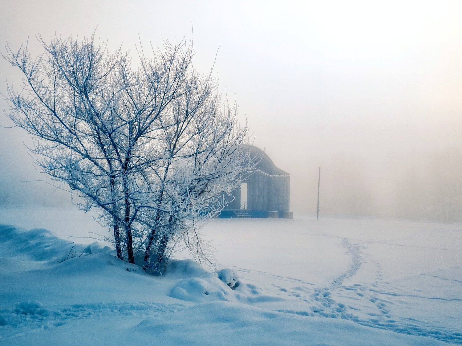 Photo #4452344