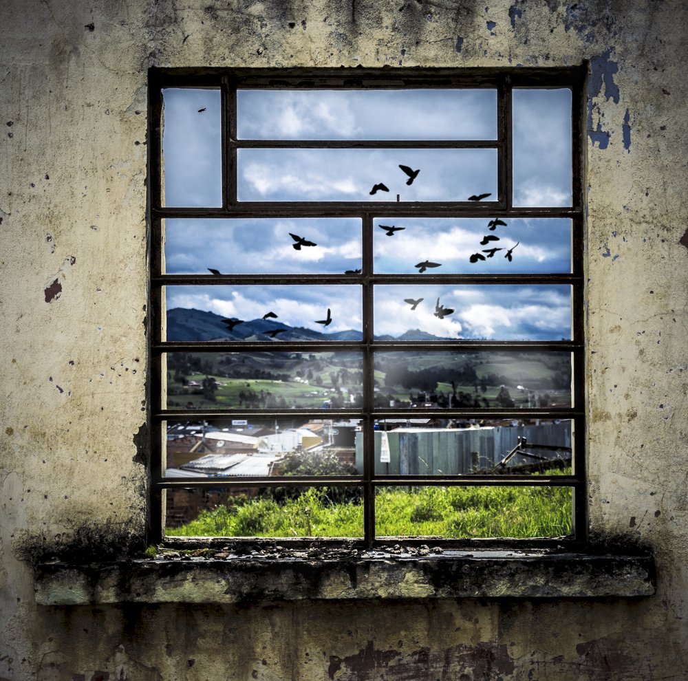 Photograph by Kraken