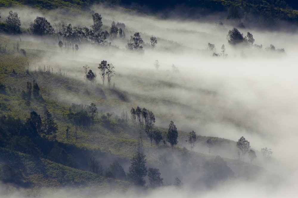 Photograph by Ages ragil