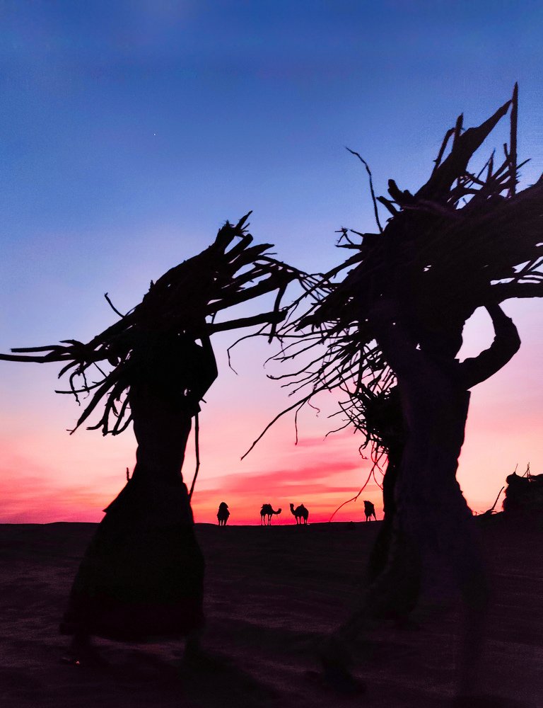 Photograph by Prashant Photography