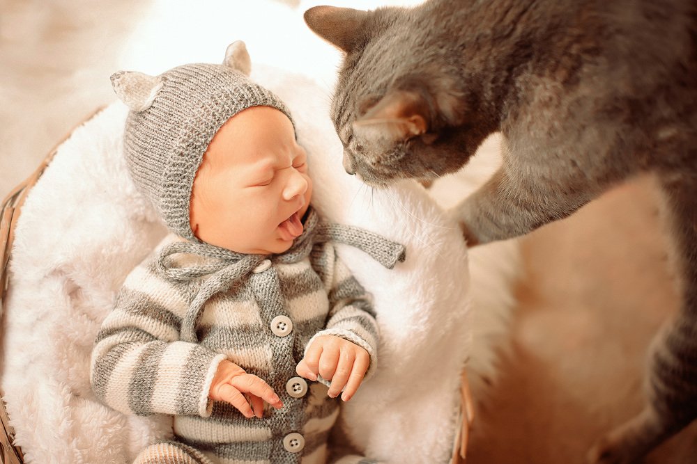 Photograph by Екатерина