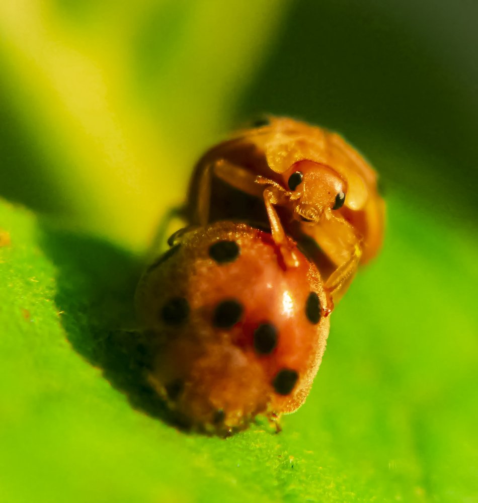 Photograph by tri yanto