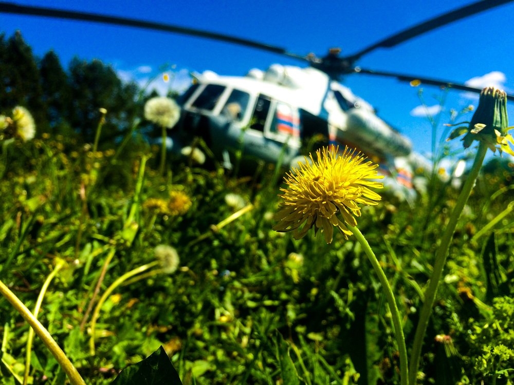 Небесный цветок