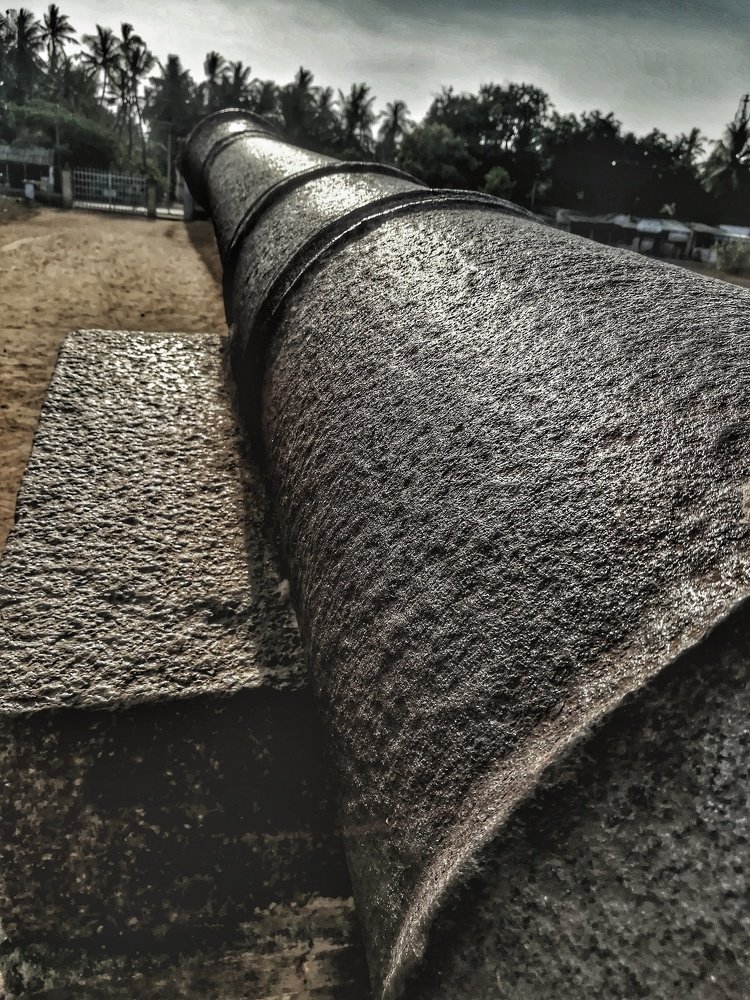 Photo #4452782