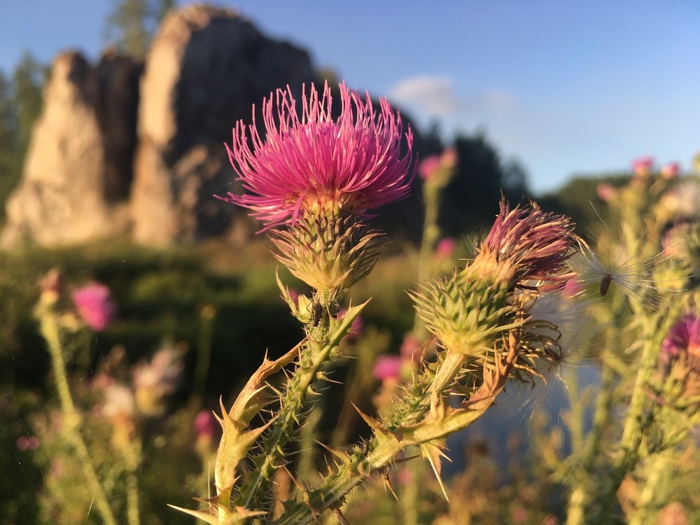 Фотография автора Александр Новоселов