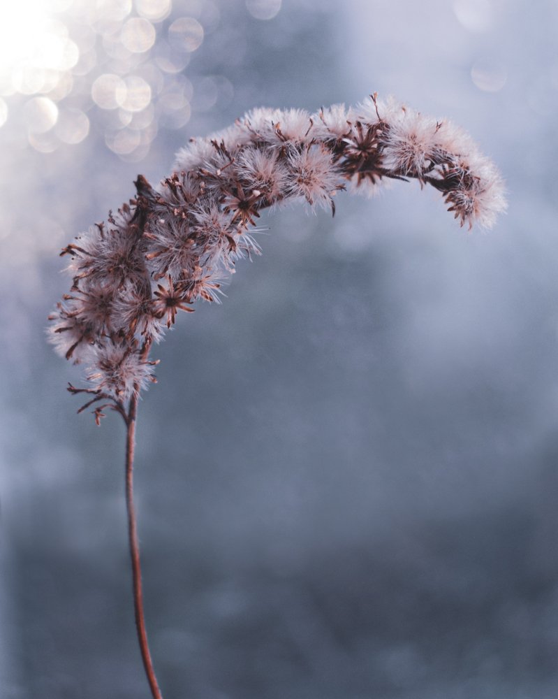 Фотография автора Максим Шишкин