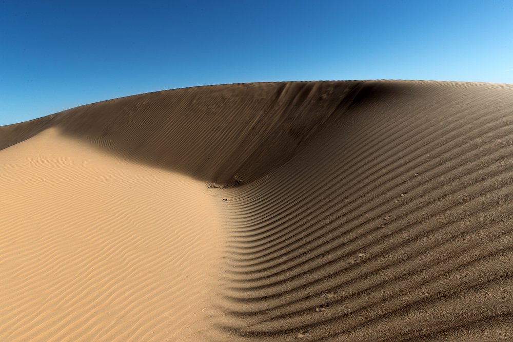 Photograph by Valentinas Pecininas