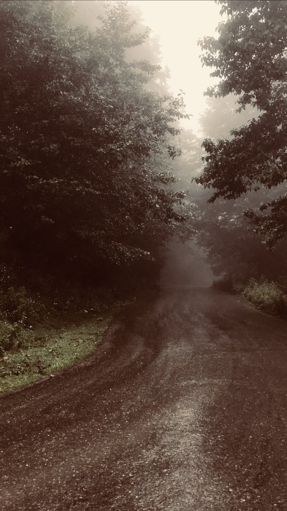 Photograph by  Afrooz