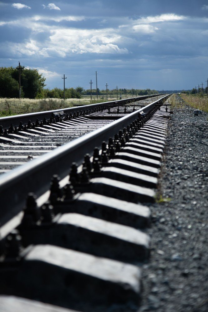 Мир вокруг нас