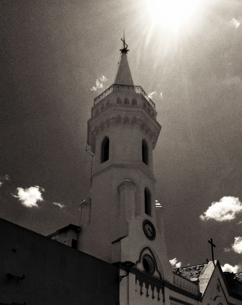 Photo #4453017