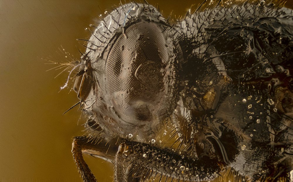 Фотография автора Jorge Herraiz