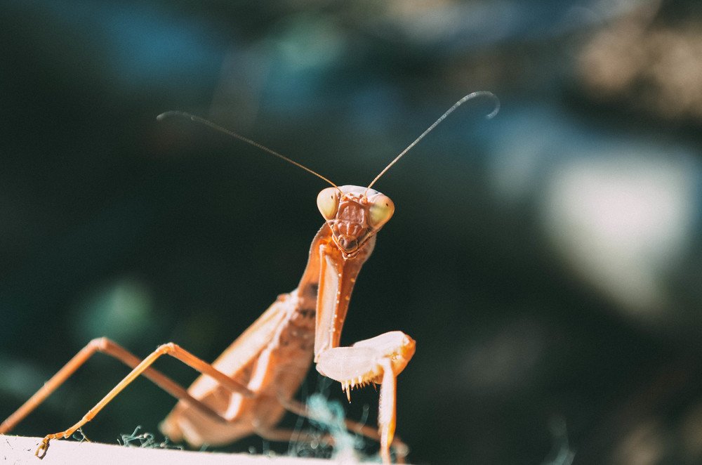 Photograph by Дарья Франкова